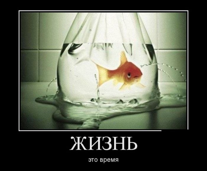 Демотиваторы со смыслом