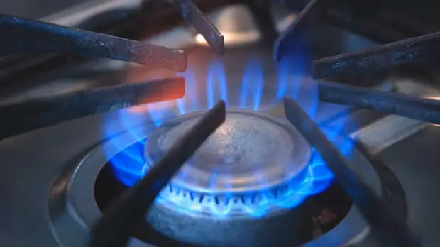 Аналитик Каумфан уверен в скором согласии стран ЕС платить рублями за российский газ