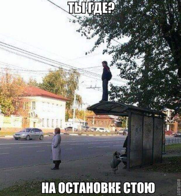 Картинки с забавными подписями