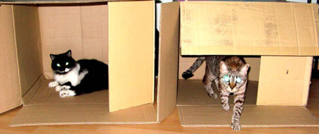 Делаем домик для кошки из коробки