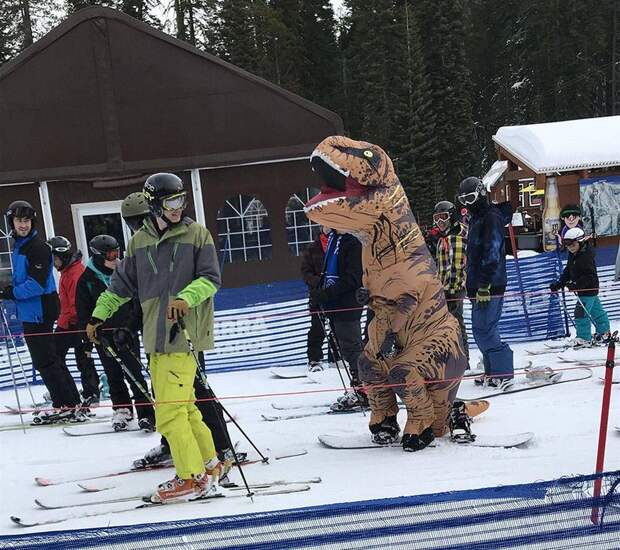 kartinok-veselyh-interesnyh-kartinki-smeshnye-kartinki-fotoprikoly