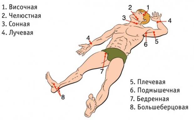 10. Кровотечение Лайфхак, коты, медицина, помощь, факты