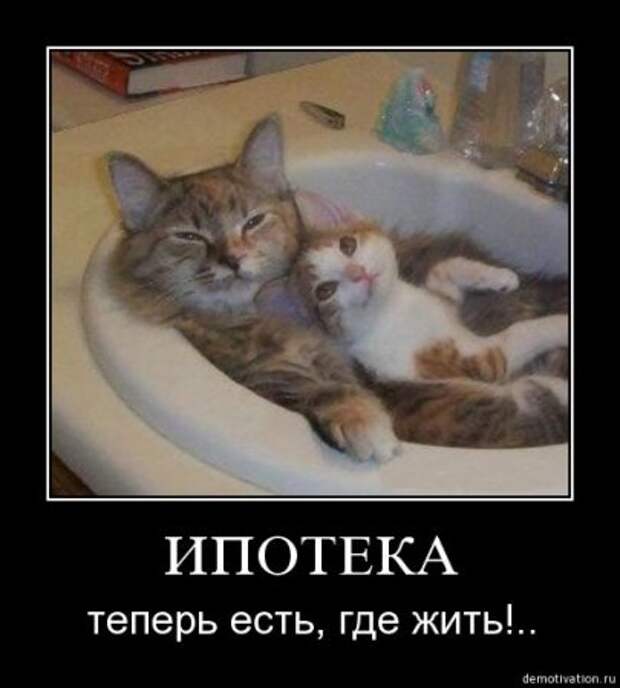 Новейшие демотиваторы все юморные.