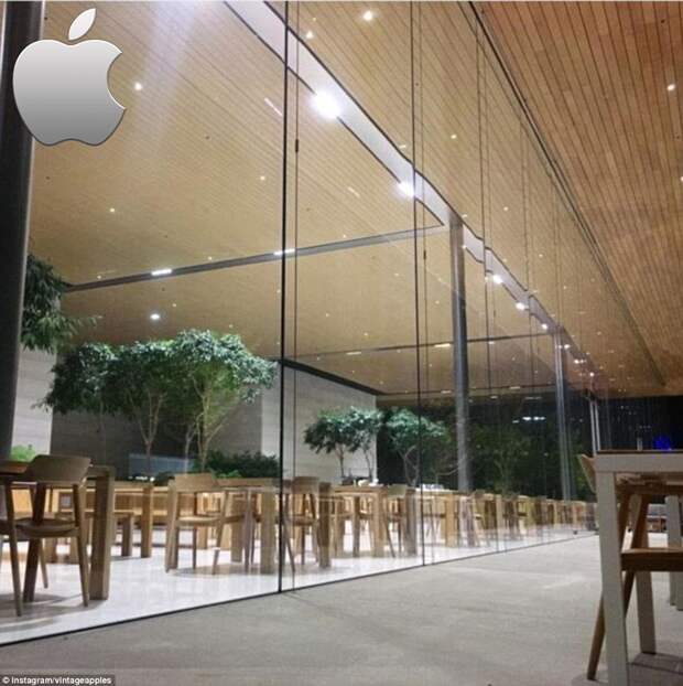Столовая Apple