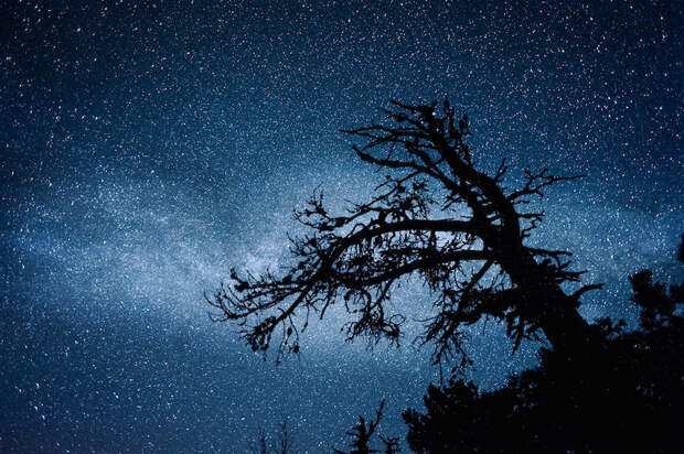 starry-night-sky-by-yohan-terraza-artnaz-com-9