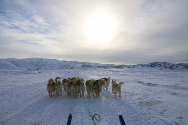 26. Путешествие в собачьей упряжке за полярным кругом, Илулисат, Гренландия вокруг света, пейзажи, природа, путешествия, снимки, фотографии