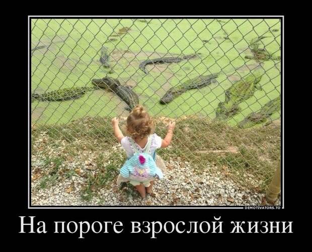 Демотиваторы Демотиваторы демотиваторы