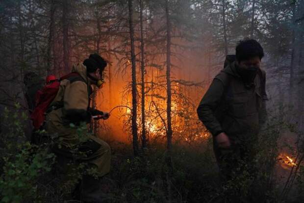 За сутки в Красноярском крае ликвидированы шесть лесных пожаров