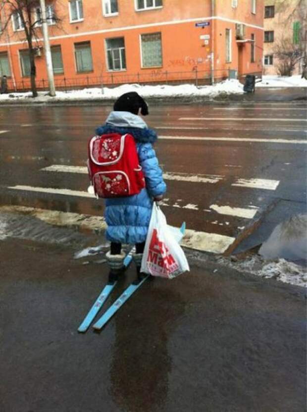 Фотоприколы кучей