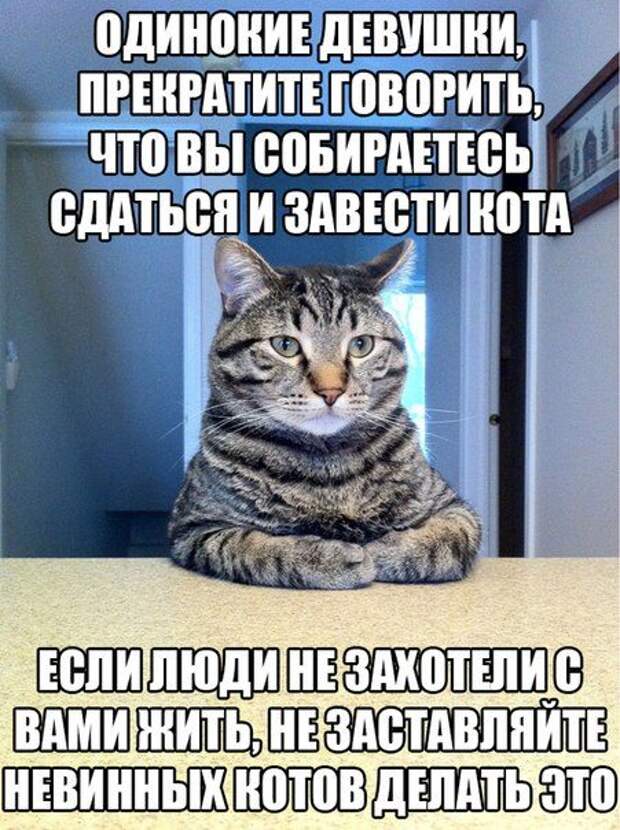 30 лучших картинок с фразами. Жмите Лайк!