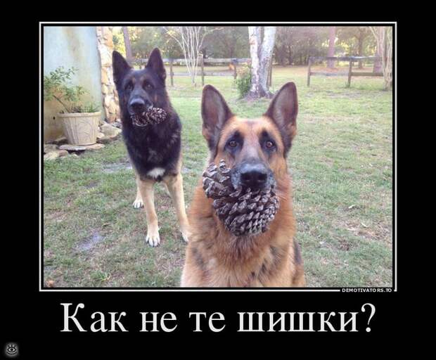 Теперь ты видел всё 2