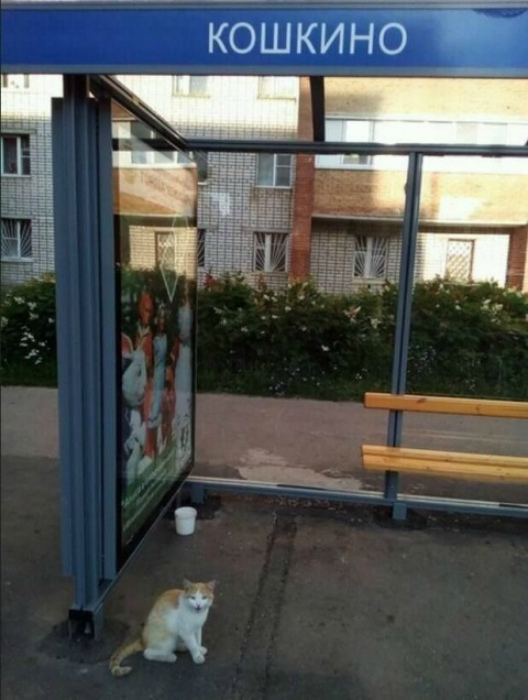Случайное совпадение. Случайное совпадение.