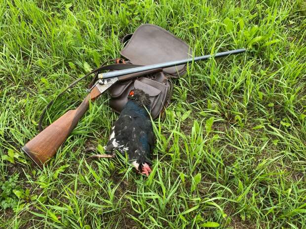 Стихи и проза