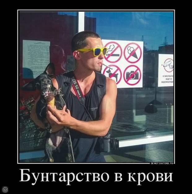Безвозмездные демотиваторы 2