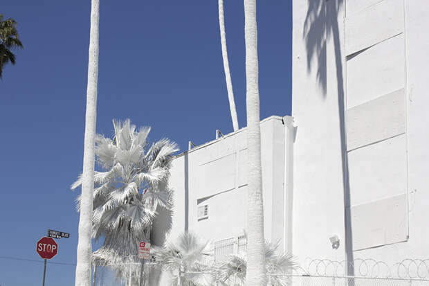Old Bates Motel Projection LA