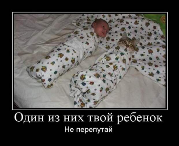 Демотиваторы с приколами, развеселят кого угодно.