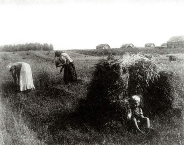 Жатва. Владимирская губерния. Фото 1910-х гг.