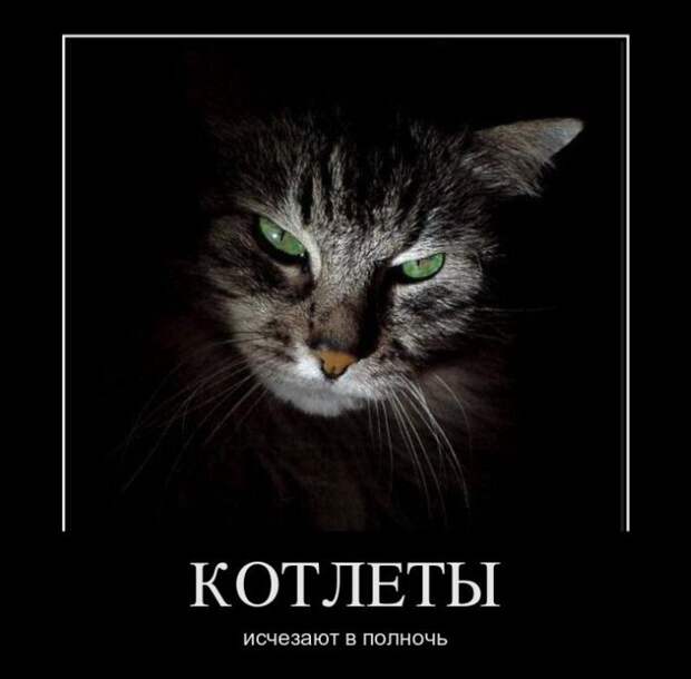 Демотиваторы (34 фото)