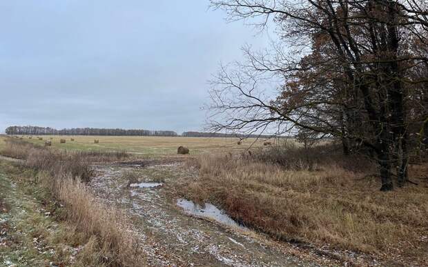 Шквалистый ветер и мокрый снег ждут Рязанскую область 10 апреля
