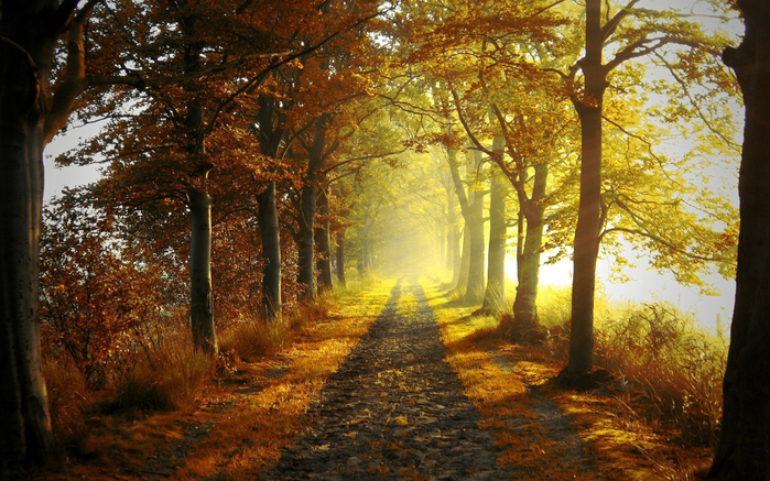 best-wallpaper_skobka_107 (800x537, 502Kb)