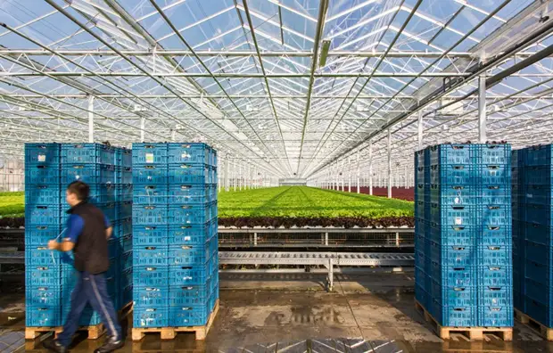 Какие сферы бизнеса закрываются в Европе из-за бумеранга антироссийских санкций