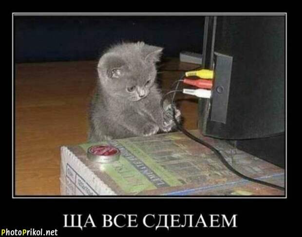 Смешные и прикольные демотиваторы (34 демотиватора) Смешные и прикольные демотиваторы (34 демотиватора)