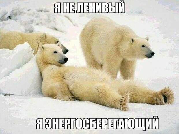 ПОДБОРКА ФОТОПРИКОЛОВ № 338