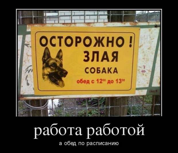 Демотиваторы Демотиваторы демотиваторы, юмор