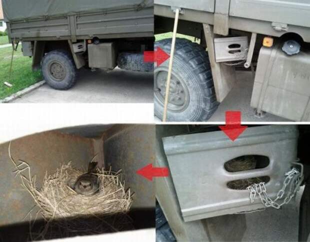 Автоприколы авто, автоприколы, прикол, юмор