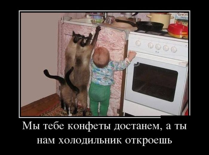 Демотиваторы (30 фото)