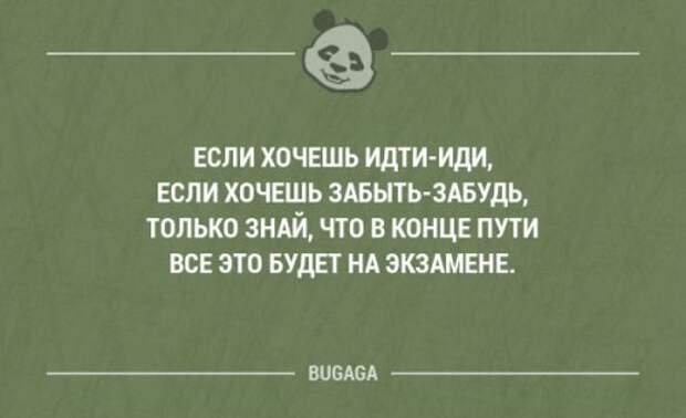 Смешные фразы и мысли в картинках с надписями. Часть 101 (18 шт)