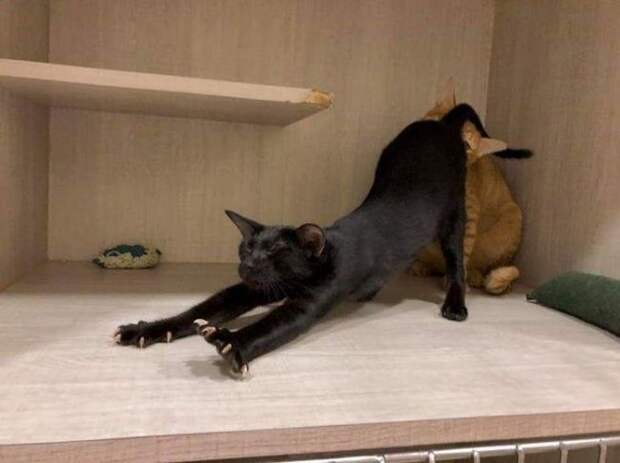 За что?