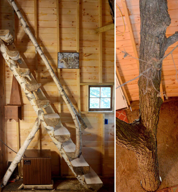 tree-house-three-stories-jay-hewitt-massachusetts-5