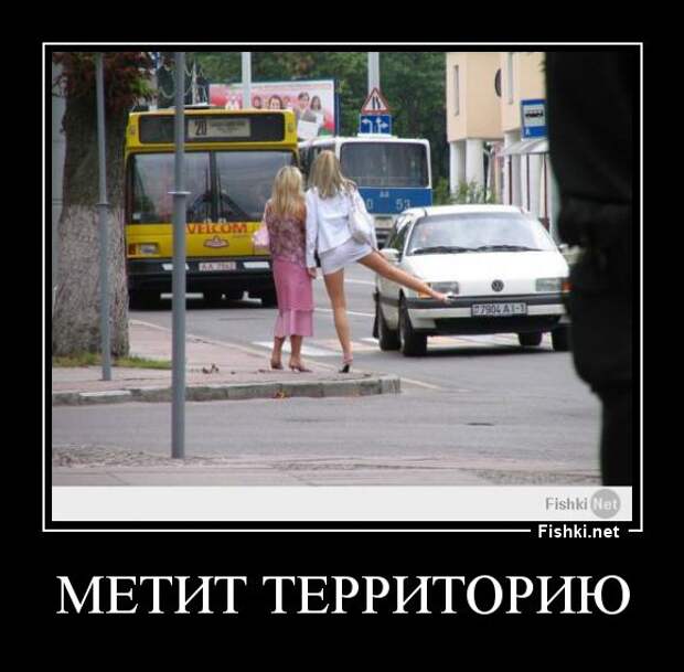 Демотиваторы  демотиваторы, прикол, смех, юмор