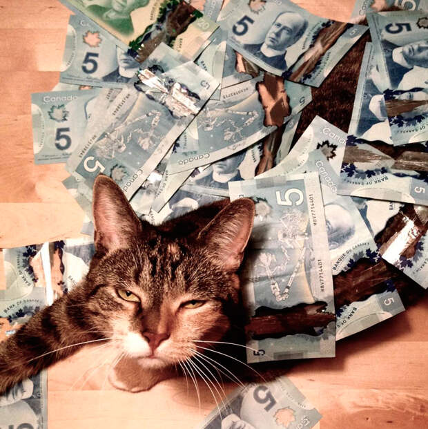 cash-2