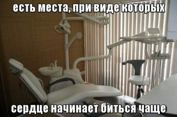 Смешные картинки с подписями катинки, прикол, юмор