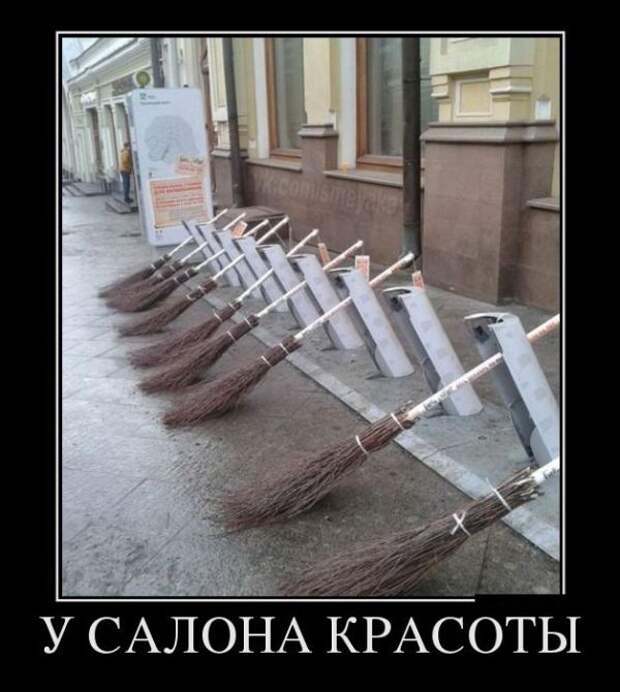 Демотиваторы (30 фото)