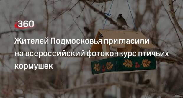 Жителей Подмосковья пригласили на всероссийский фотоконкурс птичьих кормушек