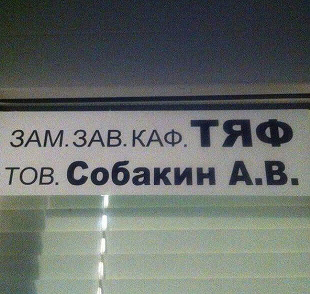 смешная фамилия