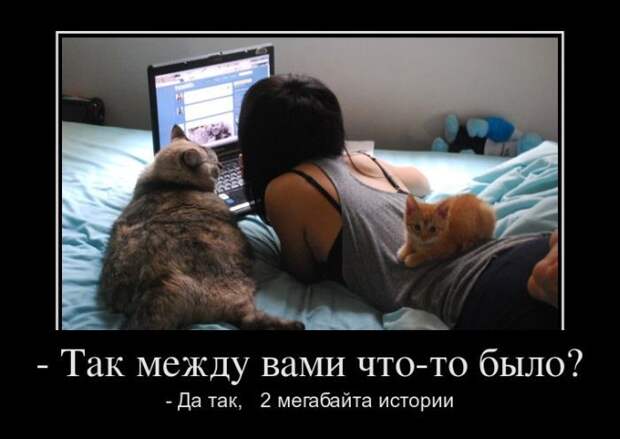 Так между вами что-то было? - Да так, 2 Мб истории демотиватор, юмор