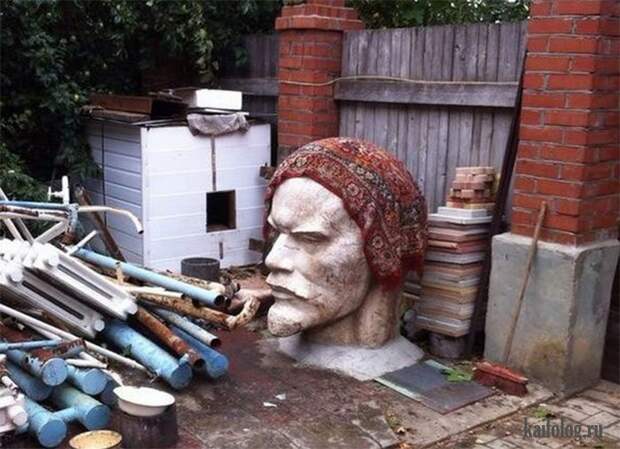 Приколы про ковры (45 фото)