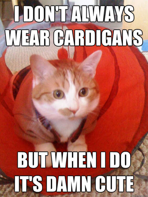 Я не всегда надеваю свитеры, но если и надеваю, то это невероятно мило кардиган, кот