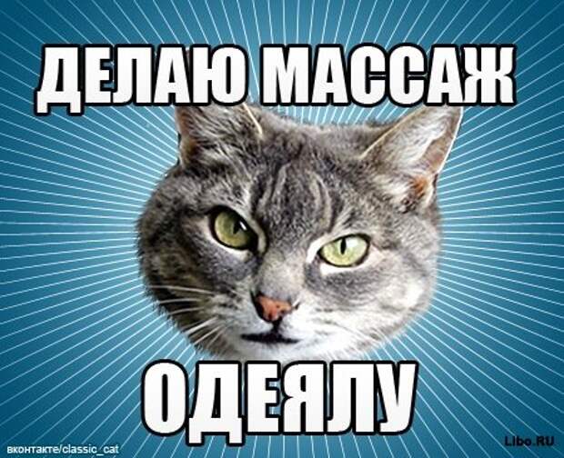 Мем: Типичный Кот