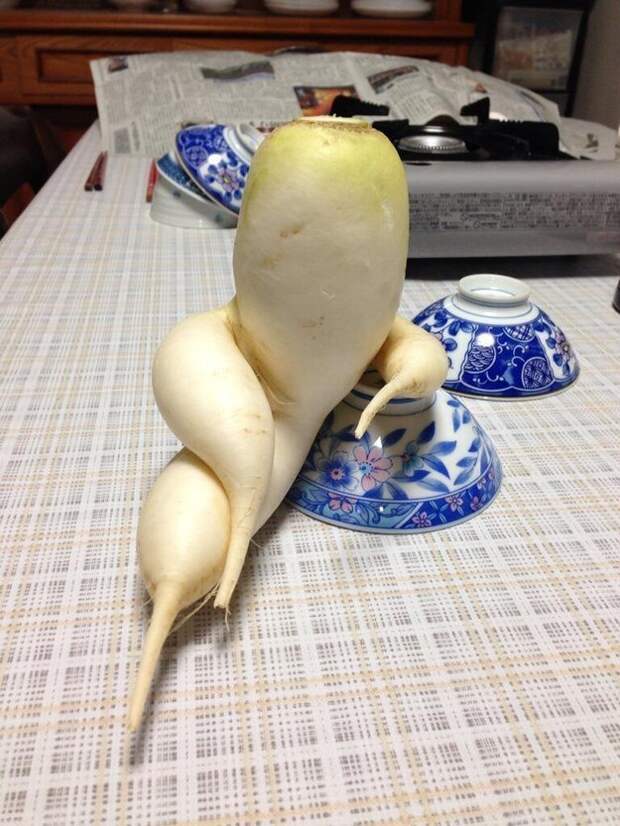 редька