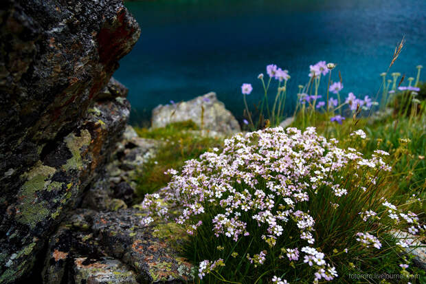 Озеро Семицветное на Кавказе Озеро Семицветное на Кавказе