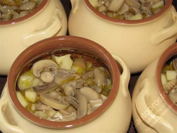 Заполнить водой горшочки. пошаговое фото этапа приготовления картошки с мясом в горшочках