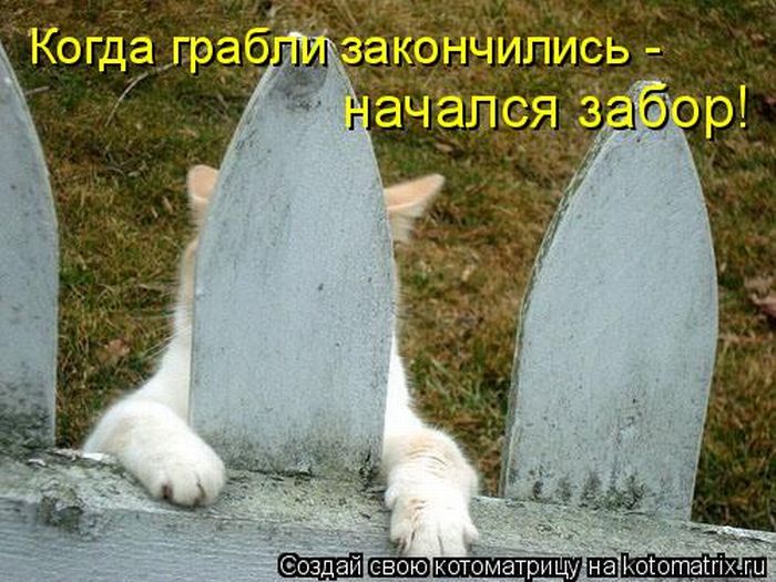 Мысли вслух :)