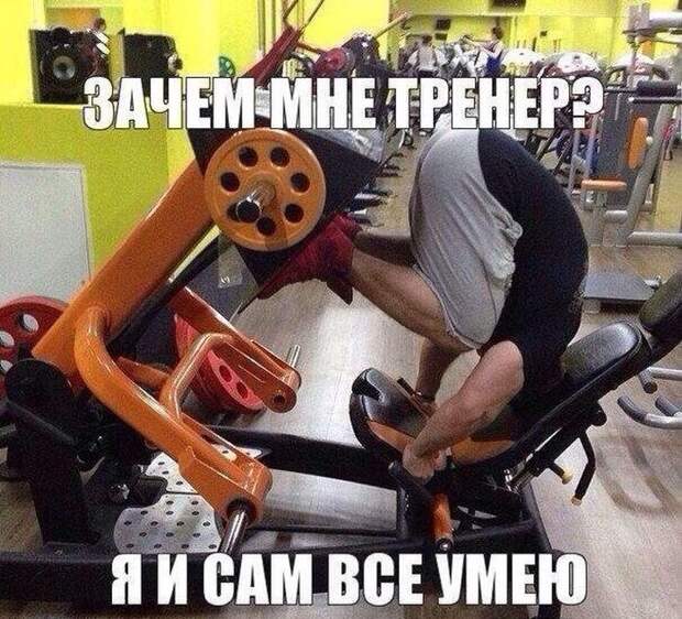 Смешные картинки с подписями катинки, прикол, юмор