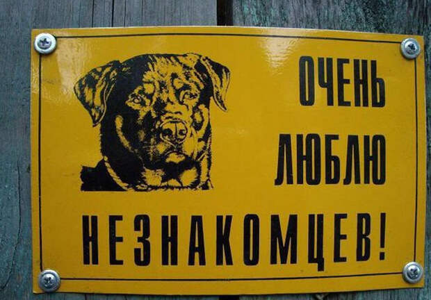 Звучит убедительно: 20 остроумных табличек собака, табличка, юмор