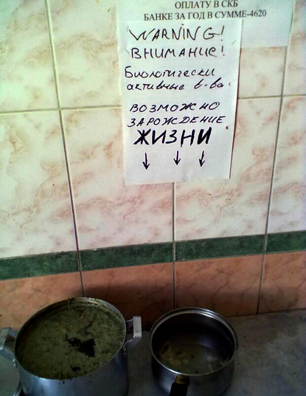 Зарождение инородной жизни. Зарождение инородной жизни.